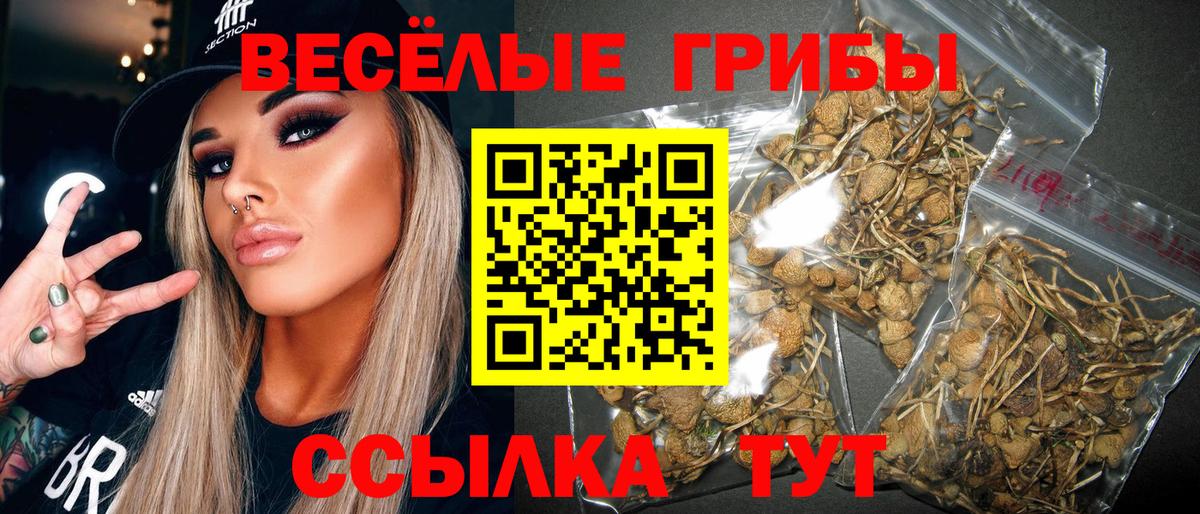 Псилоцибиновые грибы MAGIC MUSHROOMS Сухой Лог