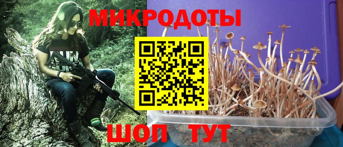 Псилоцибиновые грибы прущие грибы  Вход с VPN  Сухой Лог 